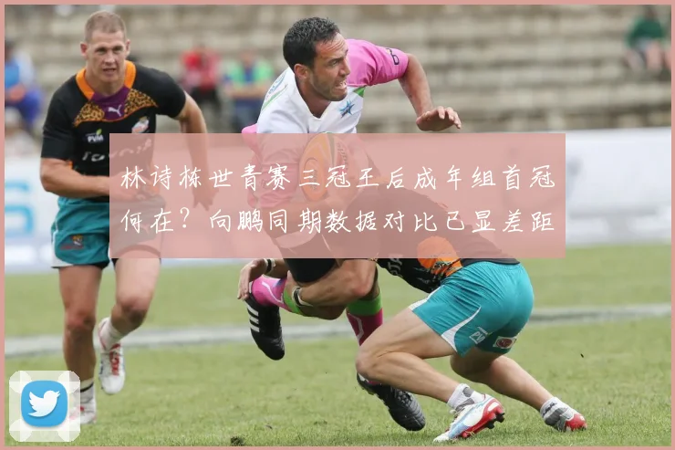 林诗栋世青赛三冠王后成年组首冠何在?向鹏同期数据对比已显差距